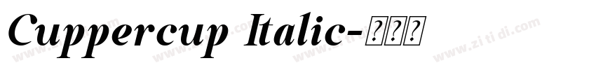Cuppercup Italic字体转换